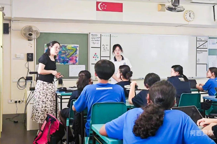视频日韩中文字慕一区，探索多元文化的新天地