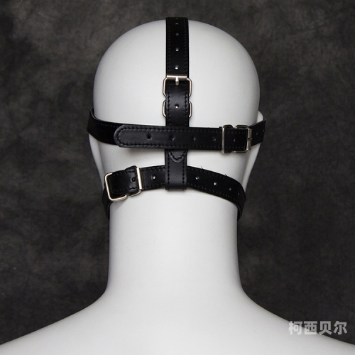 欧美成人在线激情欧美成人在线激情，探索数字时代的性爱新篇章