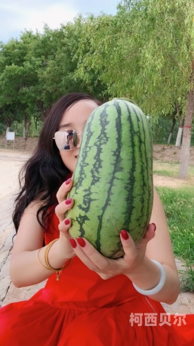 西瓜成人国产欧美西瓜成人国产欧美新闻资讯
