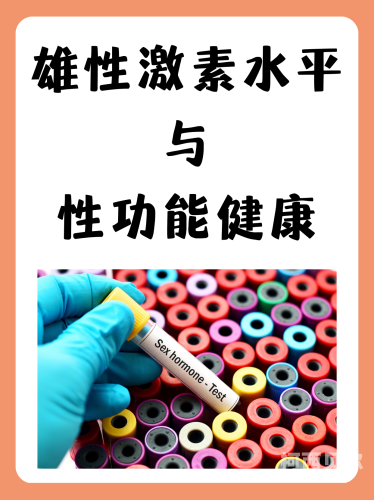 性超碰，探索新时代下的性健康与隐私保护