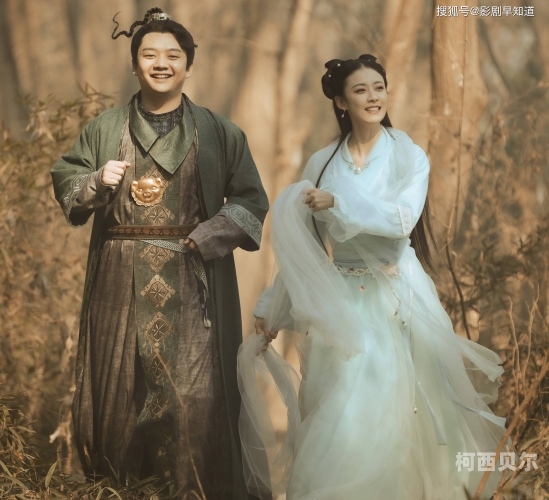 八戒八戒成人免费视频，探索网络世界的趣味与诱惑八戒小视频电影
