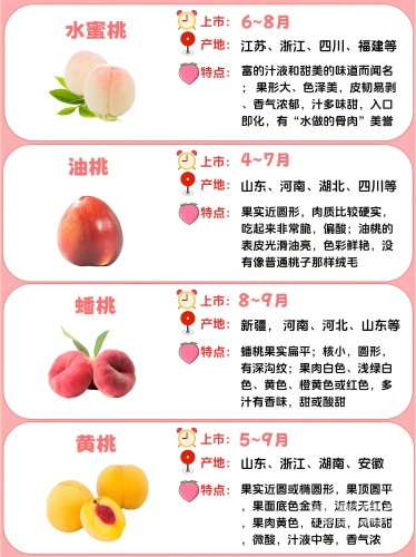 81com水蜜桃网81com水蜜桃网，引领网络新风尚，探索水蜜桃背后的故事