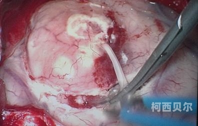 逼里香天天干逼里香天天干，网络热议背后的新闻资讯