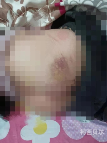 淫荡少妇一区，揭秘网络上的不雅现象