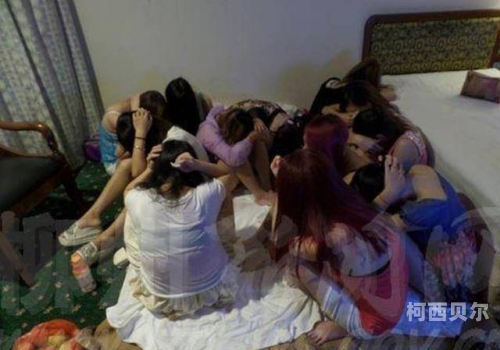 淫荡少妇一区，揭秘网络上的不雅现象