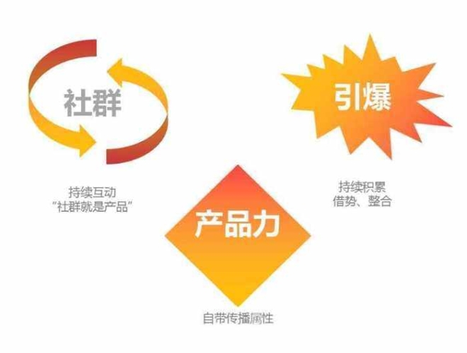 91popny蝌蚪首页，引领潮流，探索数字新世界蝌蚪app正版