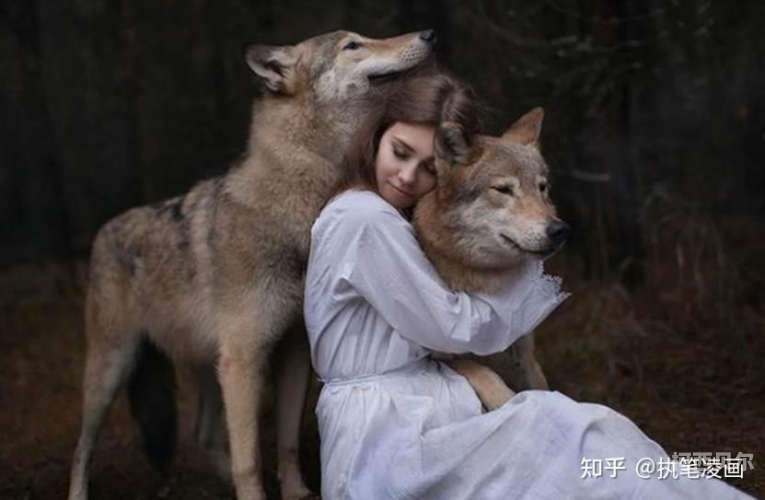 欧美人与动人物深度解析，XXXX的多元文化与精彩故事欧美人与动人物牲人交